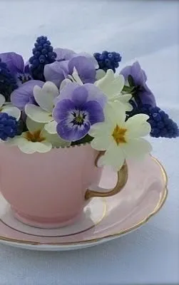 Чайная беседка