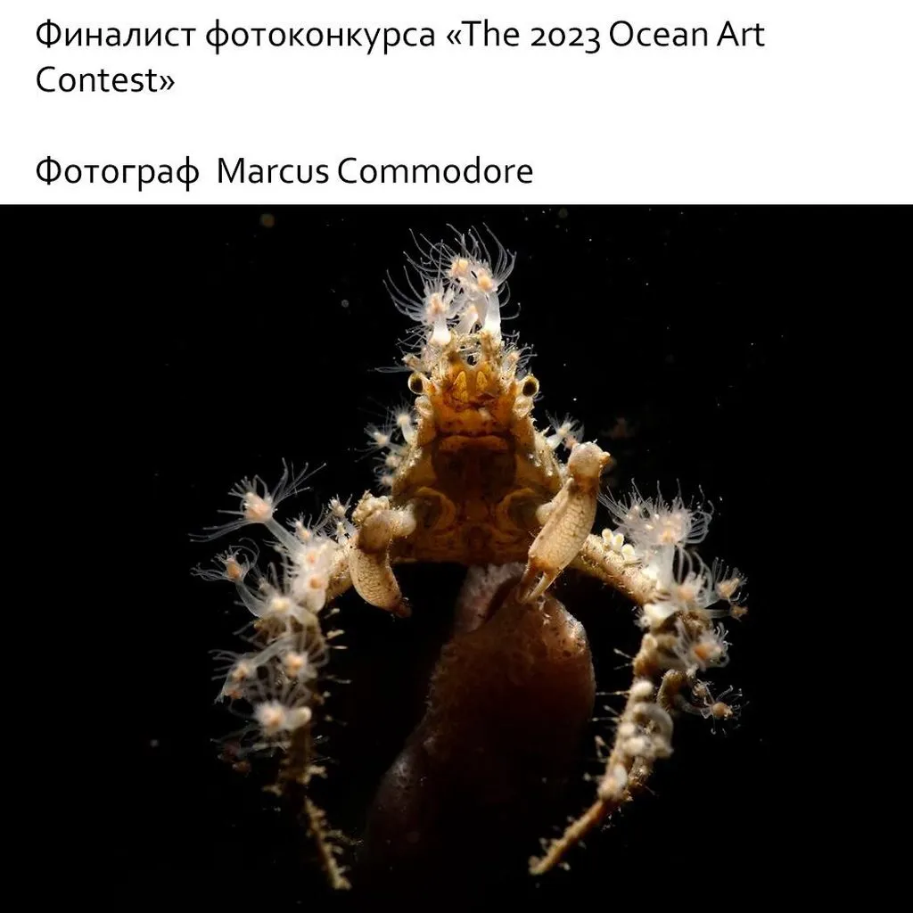 Это интересно!