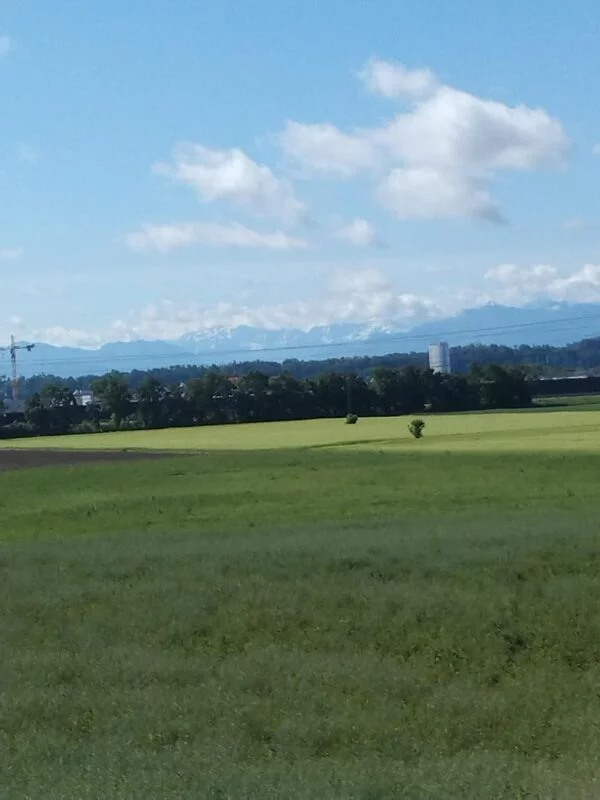 Чайная беседка