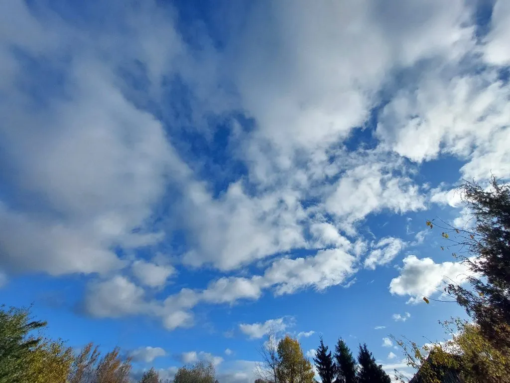 Такое разное небо