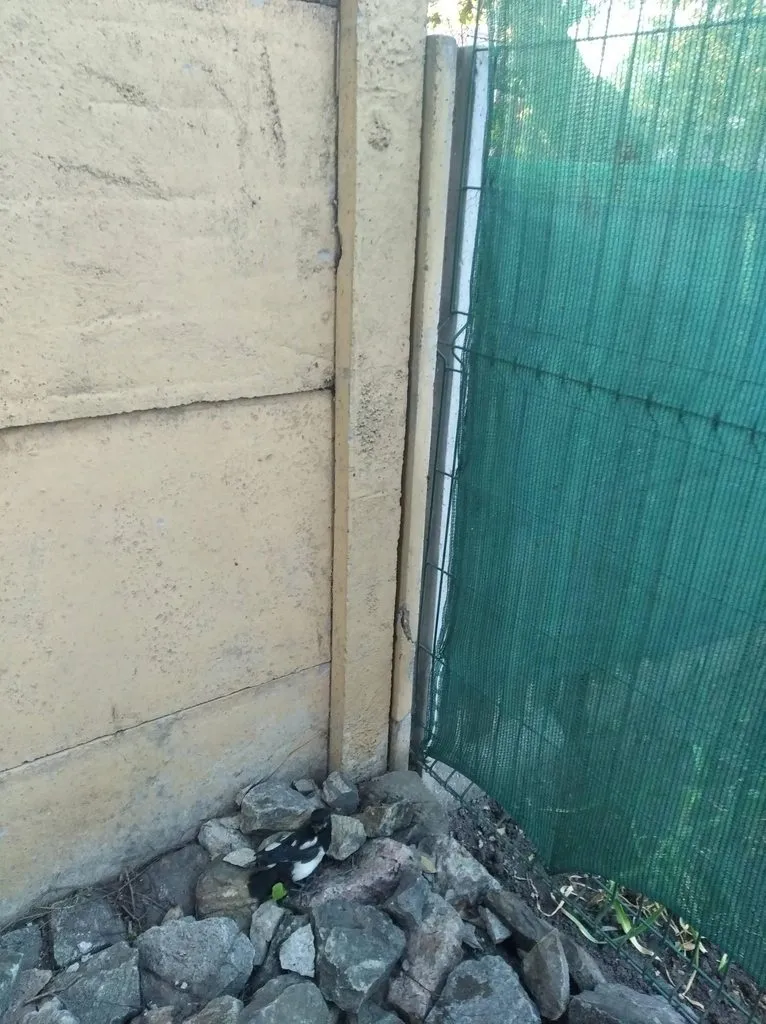 Чайная беседка