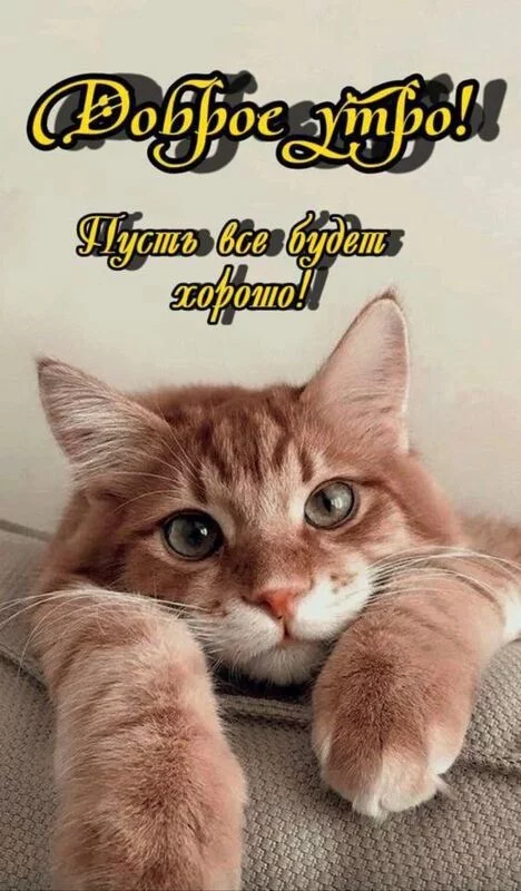 Кафе "У пани Сони"