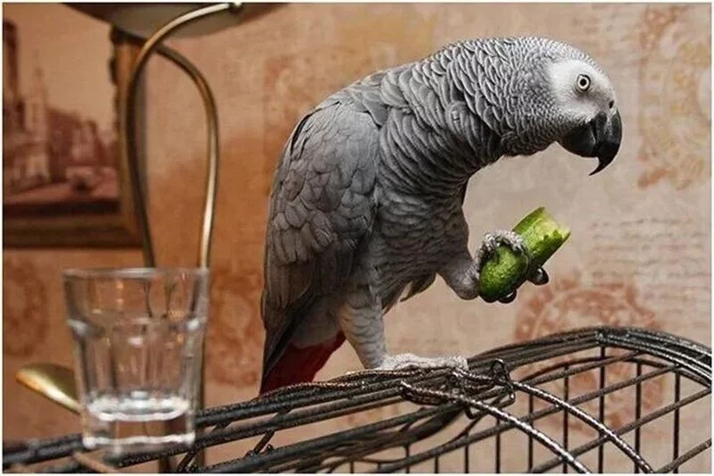 Рассказы для души