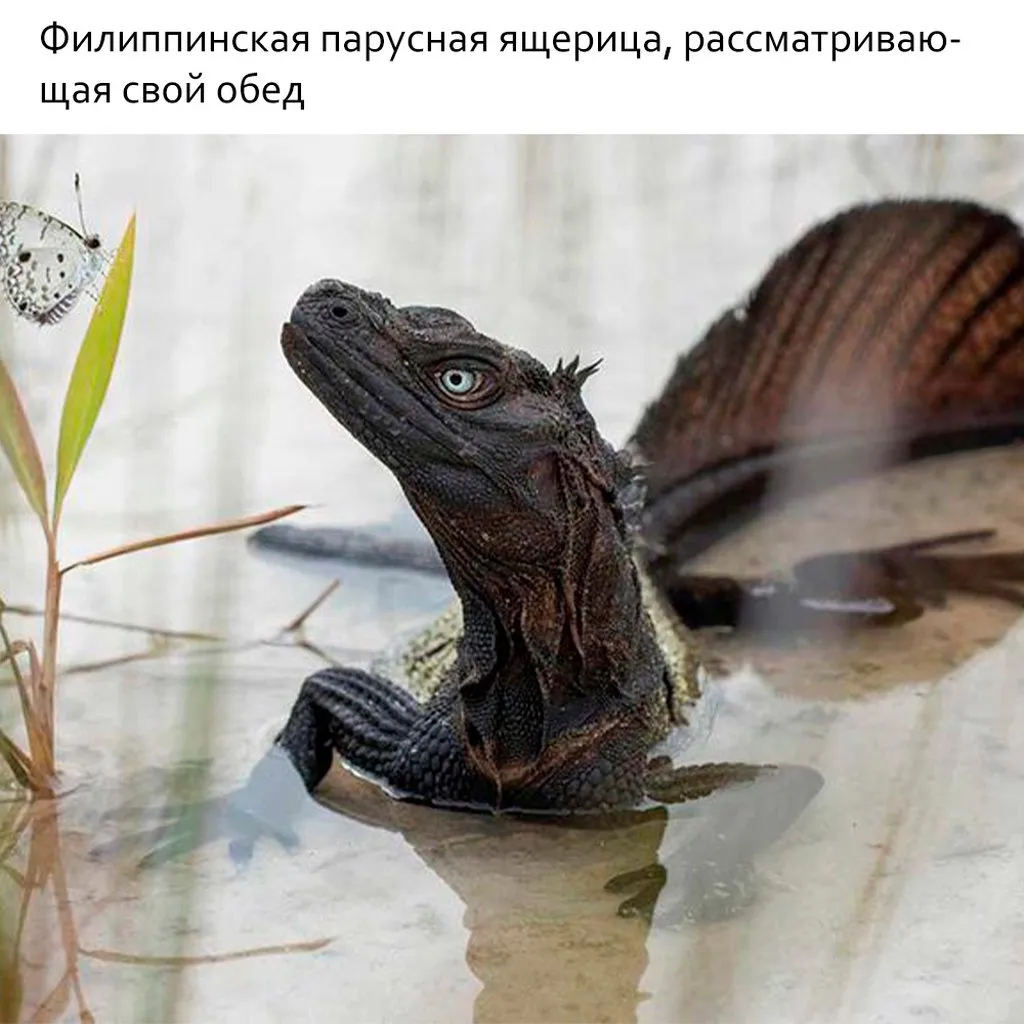 Это интересно!