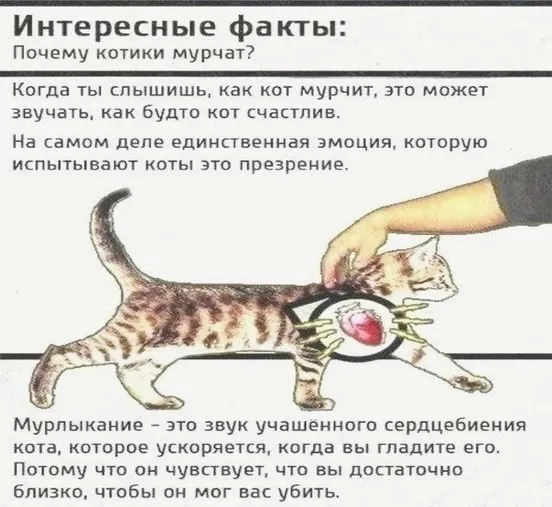 Посмеялся сам - поделись с другом!!!