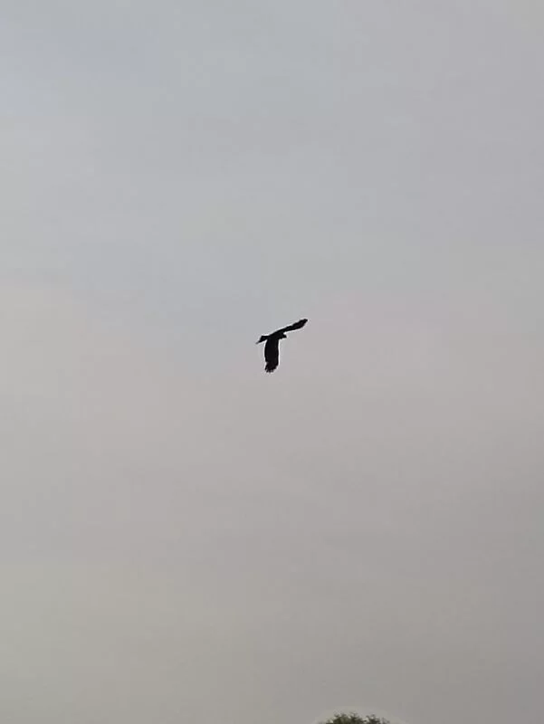 Фотонастроение