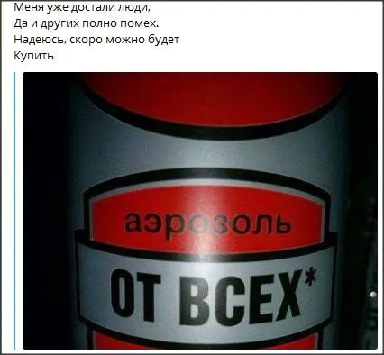 Всюду рифмы