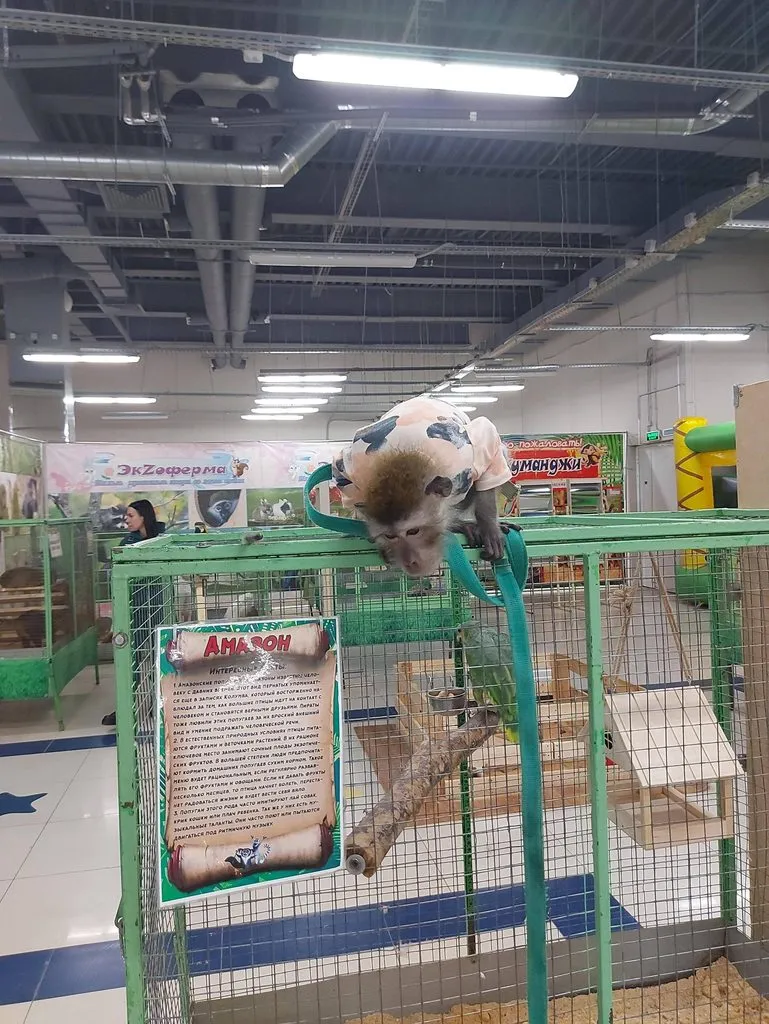 Чайная беседка