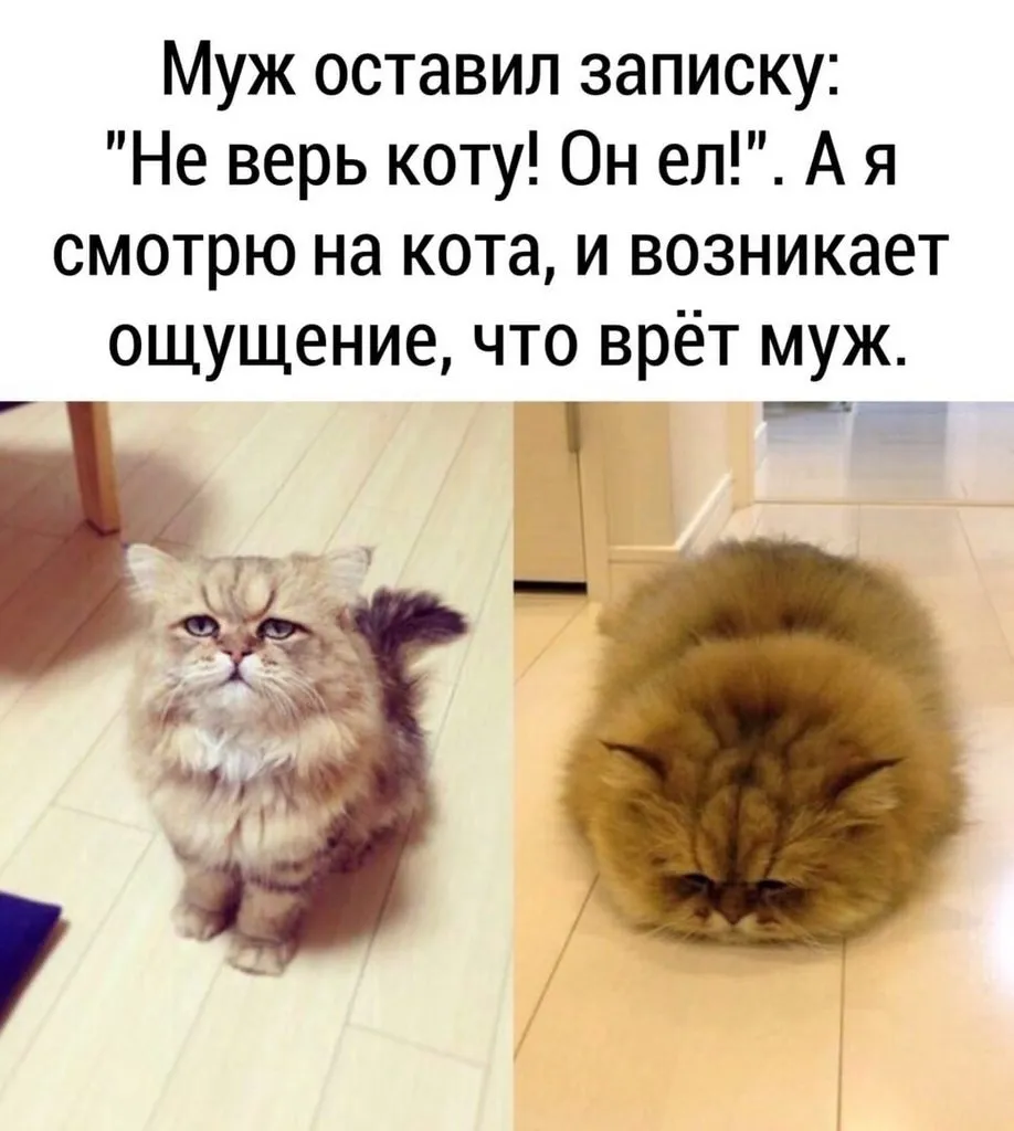 Посмеялся сам - поделись с другом!!!