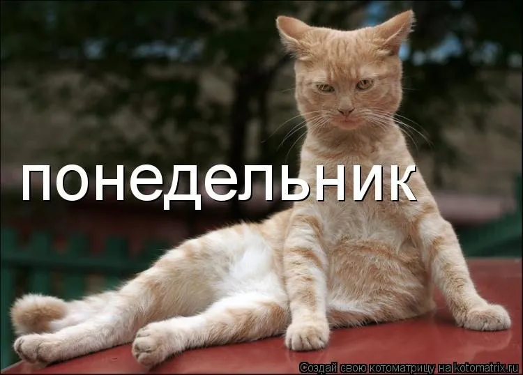 Кафе «У пани Сони»