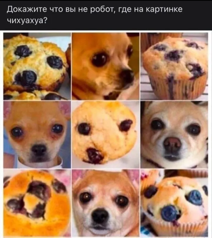 Посмеялся сам - поделись с другом!!!