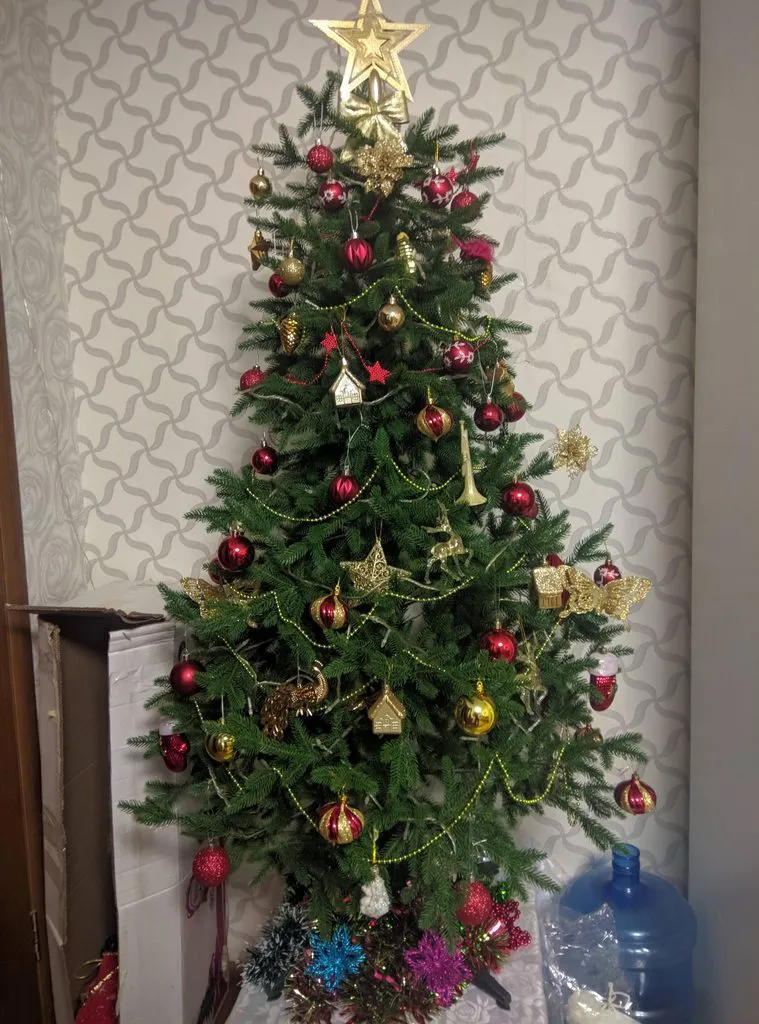 Похвастаемся елками!