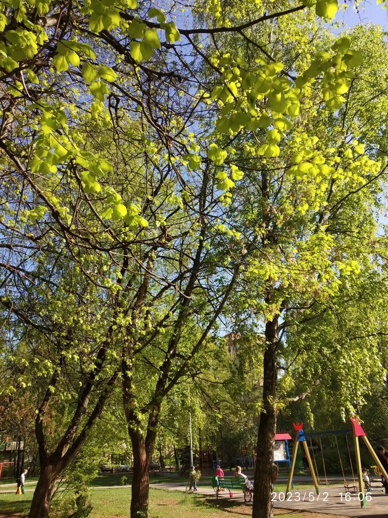 Чайная беседка