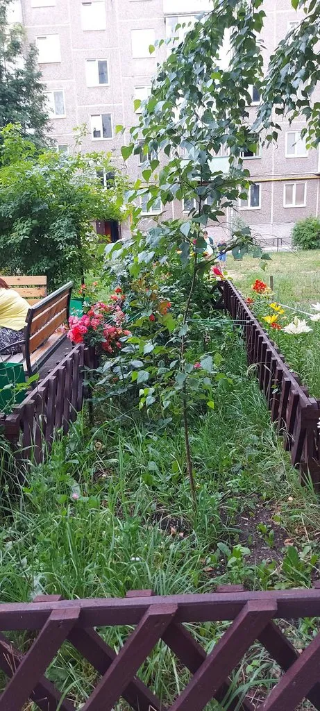 Чайная беседка