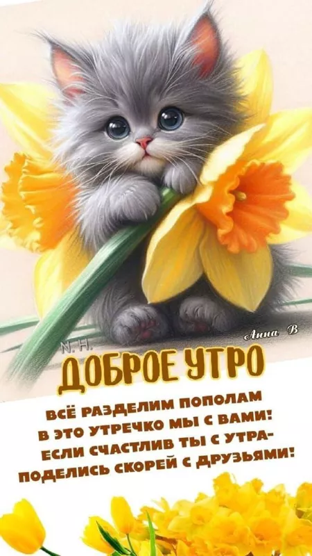 Кафе "У пани Сони"