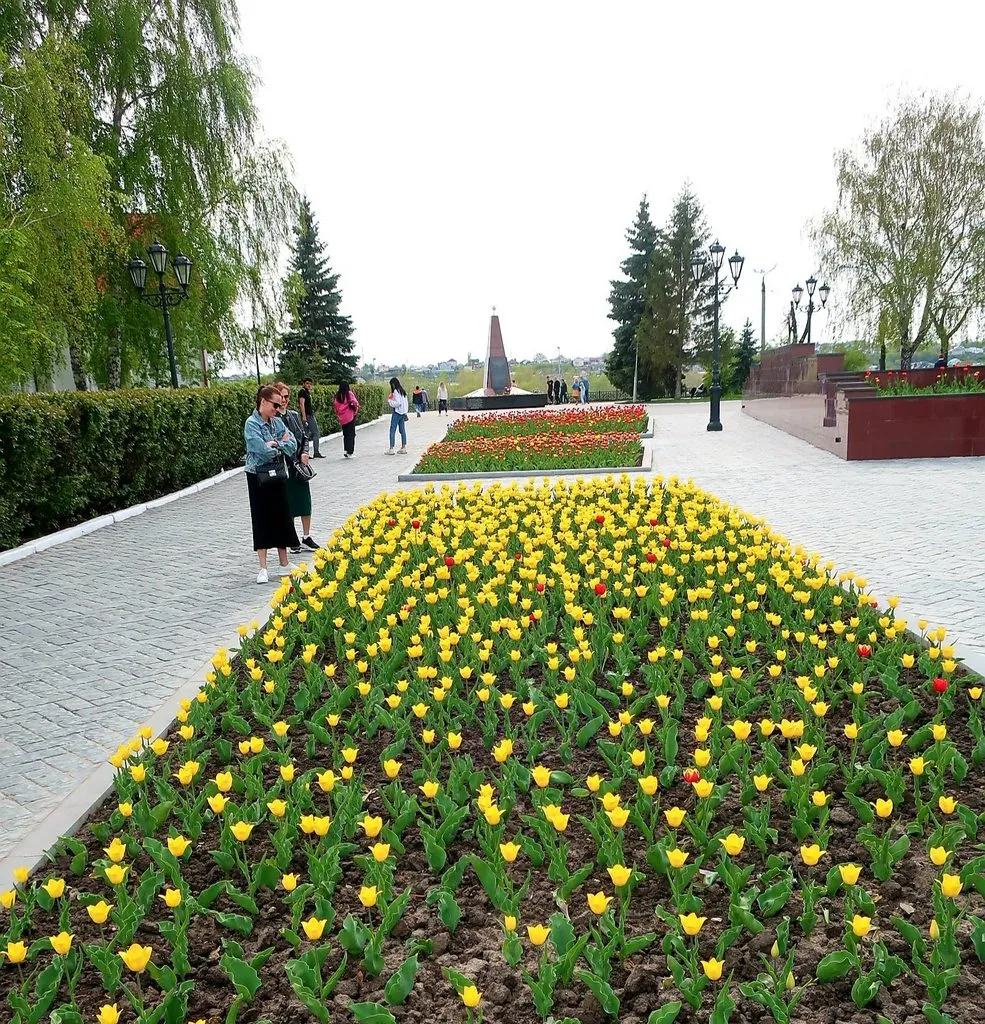 Чайная беседка