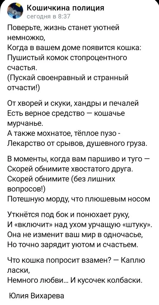 Кошичкина полиция