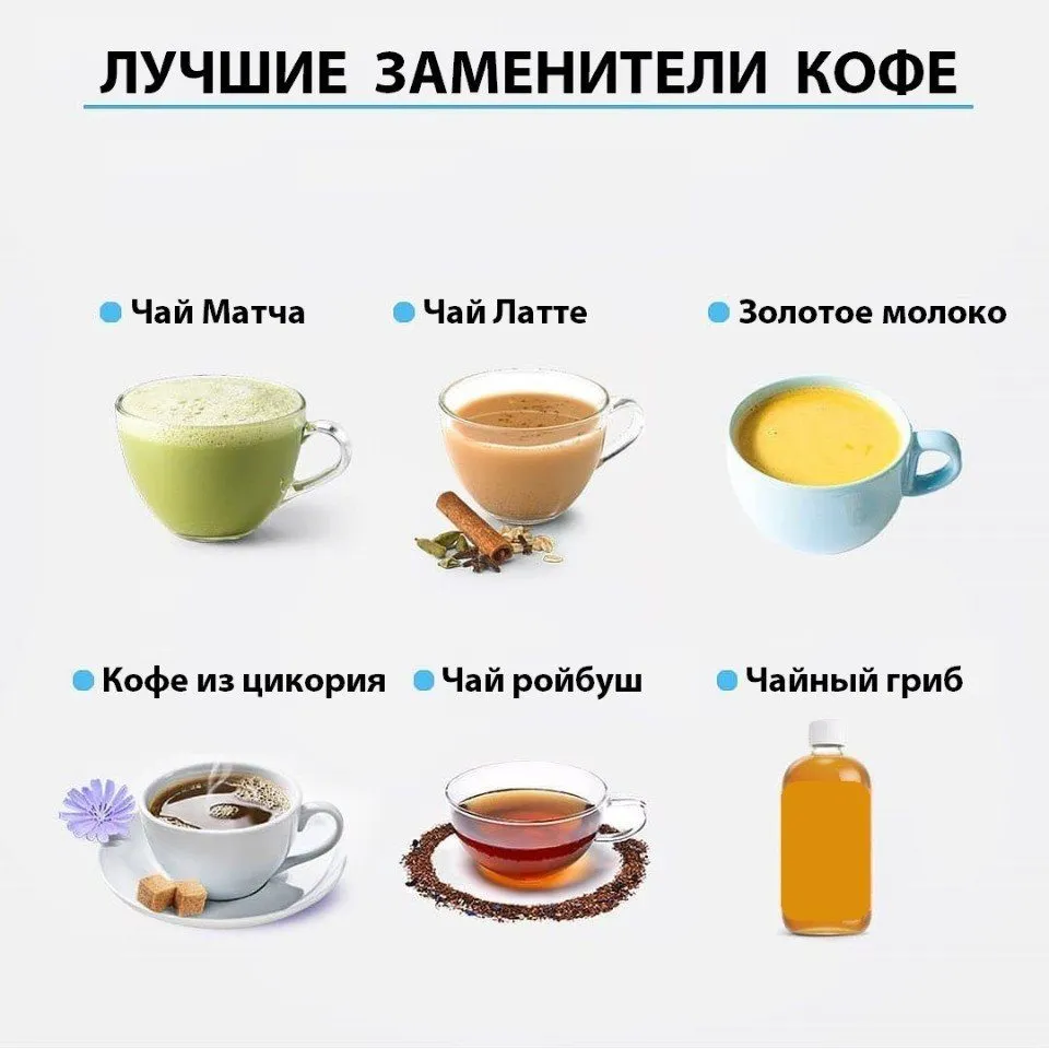 Кулинарная инфографика