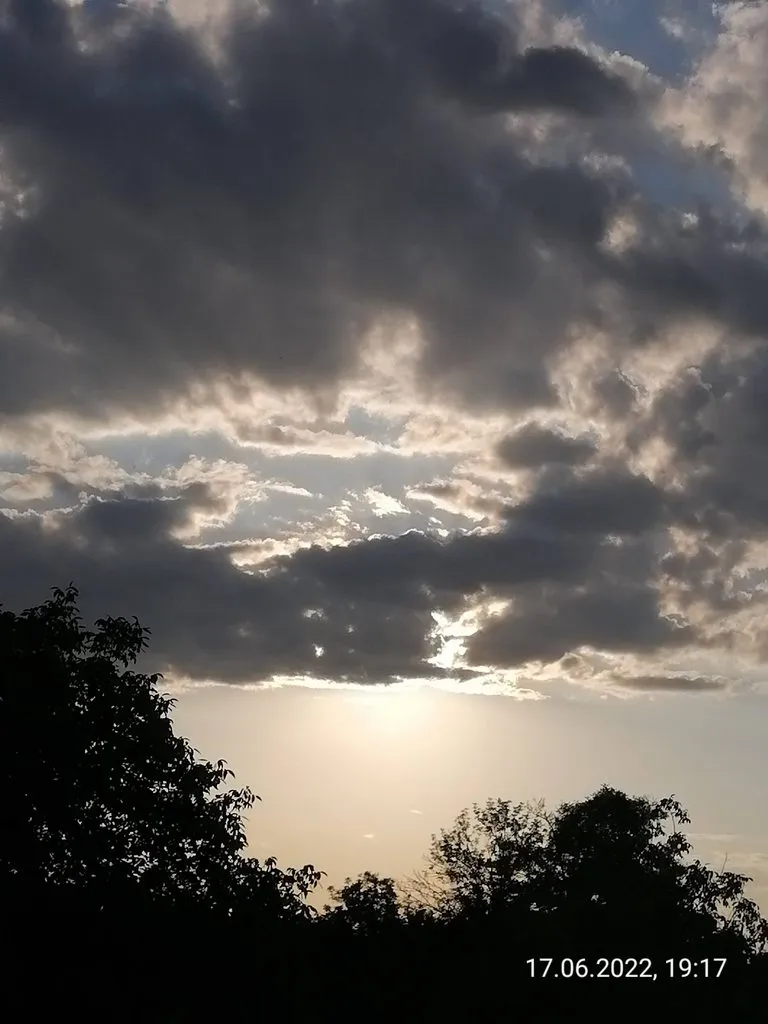 Чайная беседка