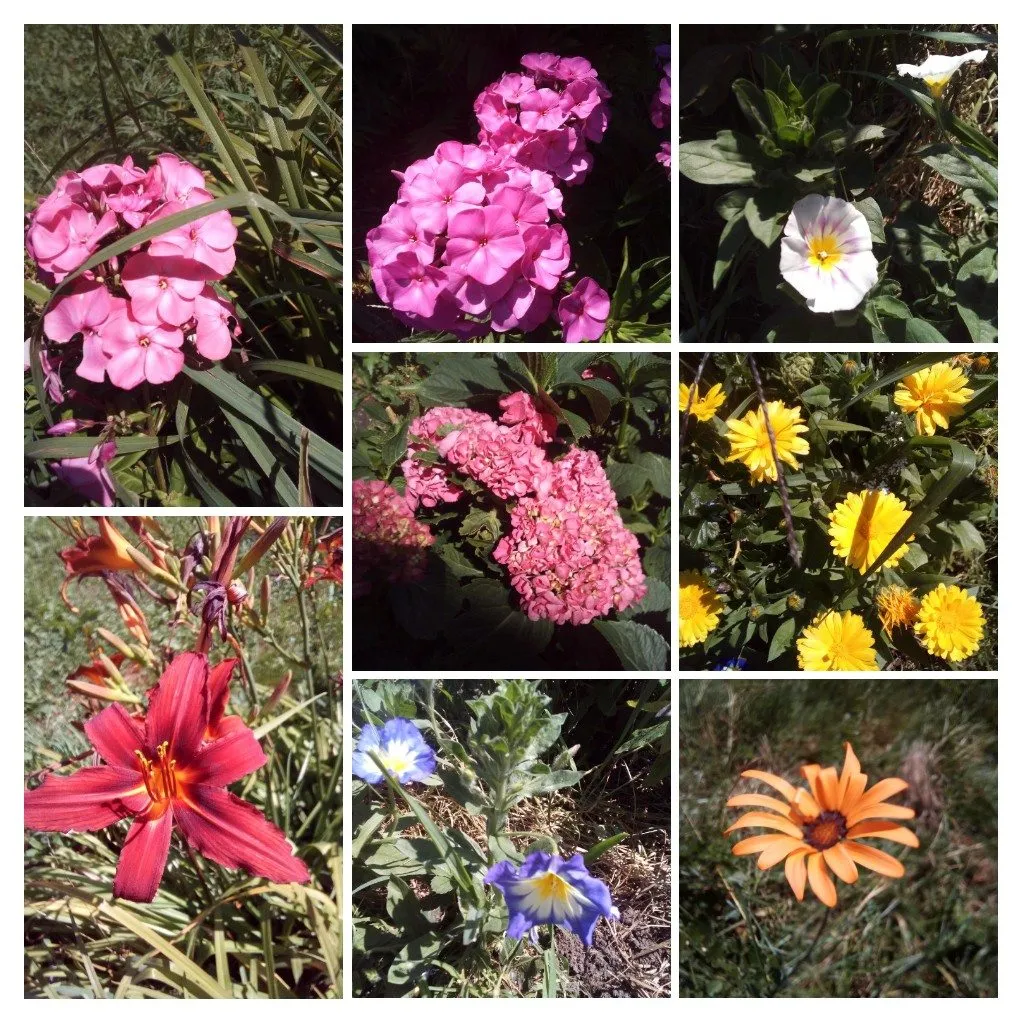 Чайная беседка