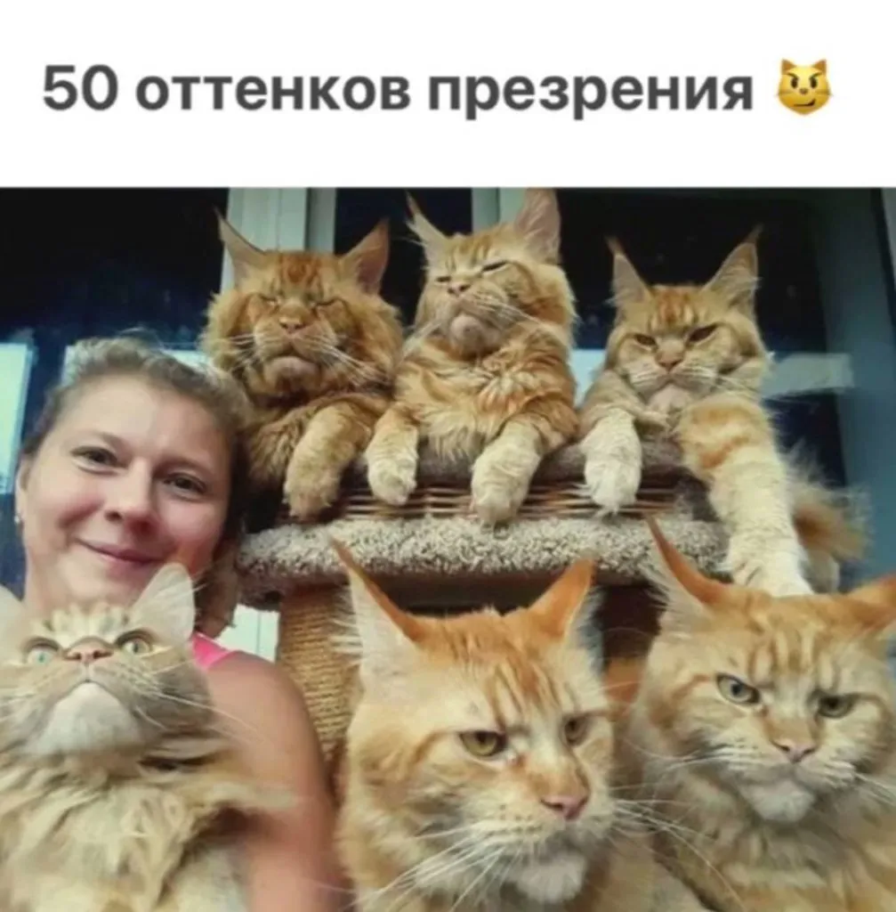 Посмеялся сам - поделись с другом!!!