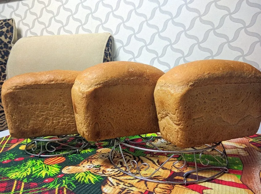 «Вечные дрожжи», картофельно-хмелевые  (Закваска без муки). Рецепты выпечки.