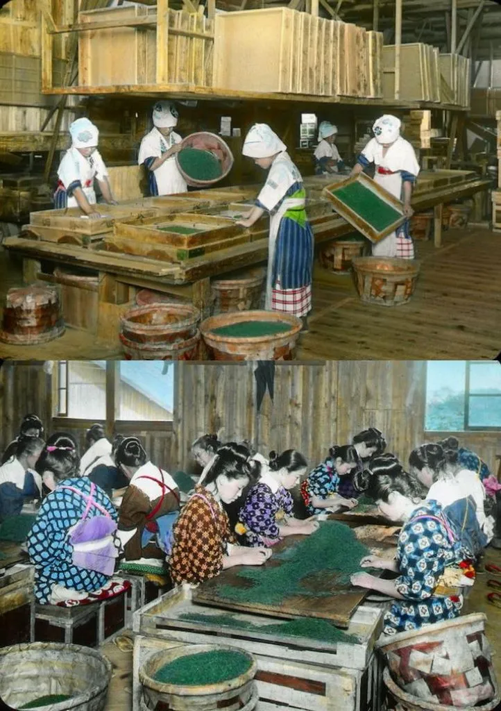 Запечатленная история