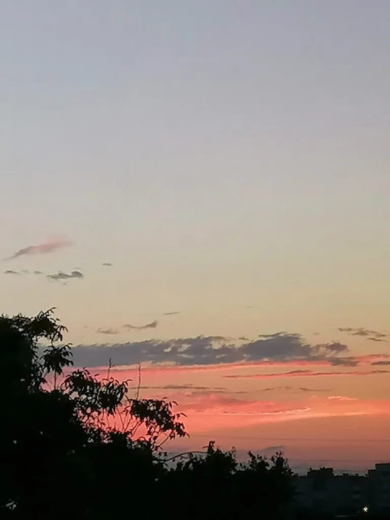 Чайная беседка