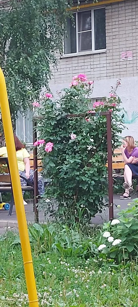 Чайная беседка