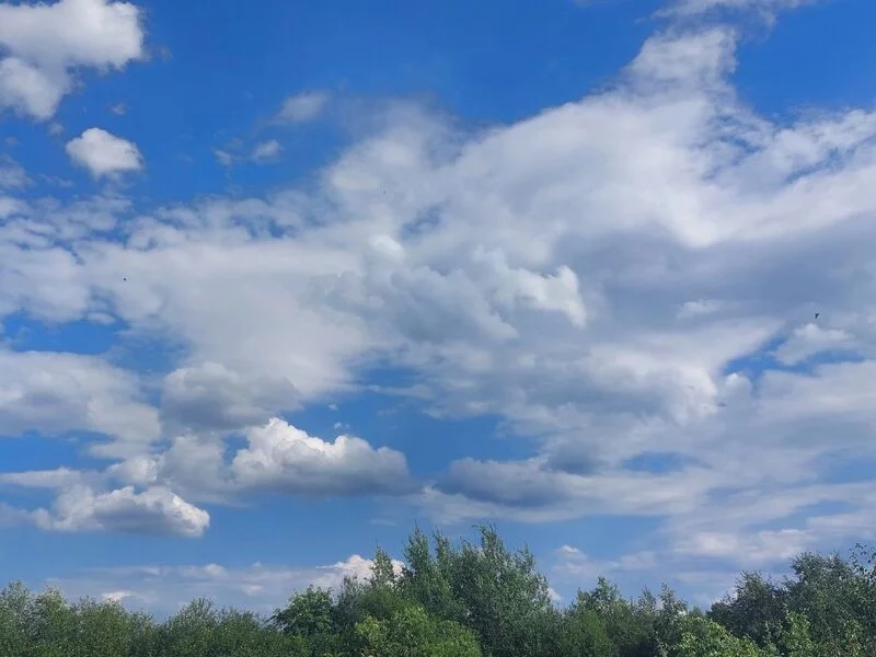 Такое разное небо