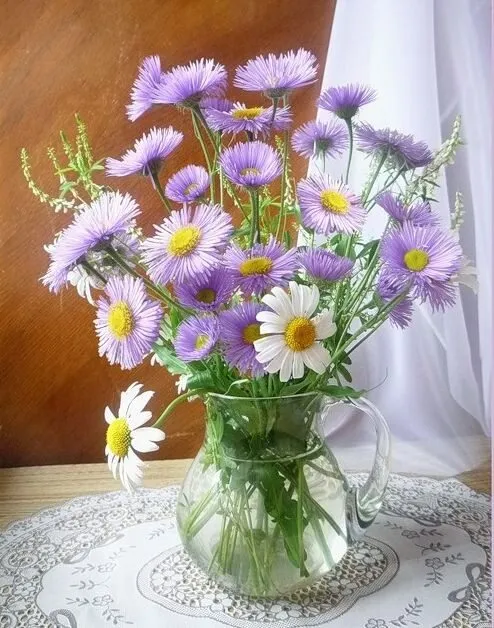 Tapтaлeтки & Ко