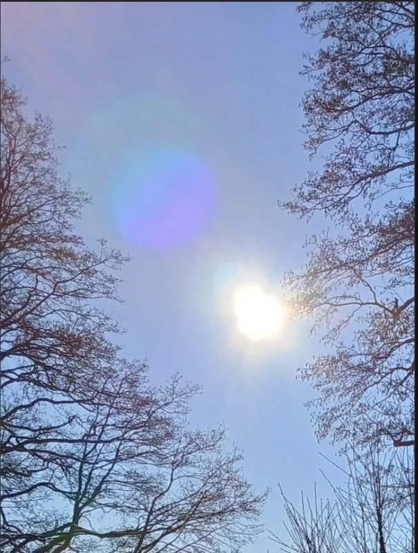 Такое разное небо