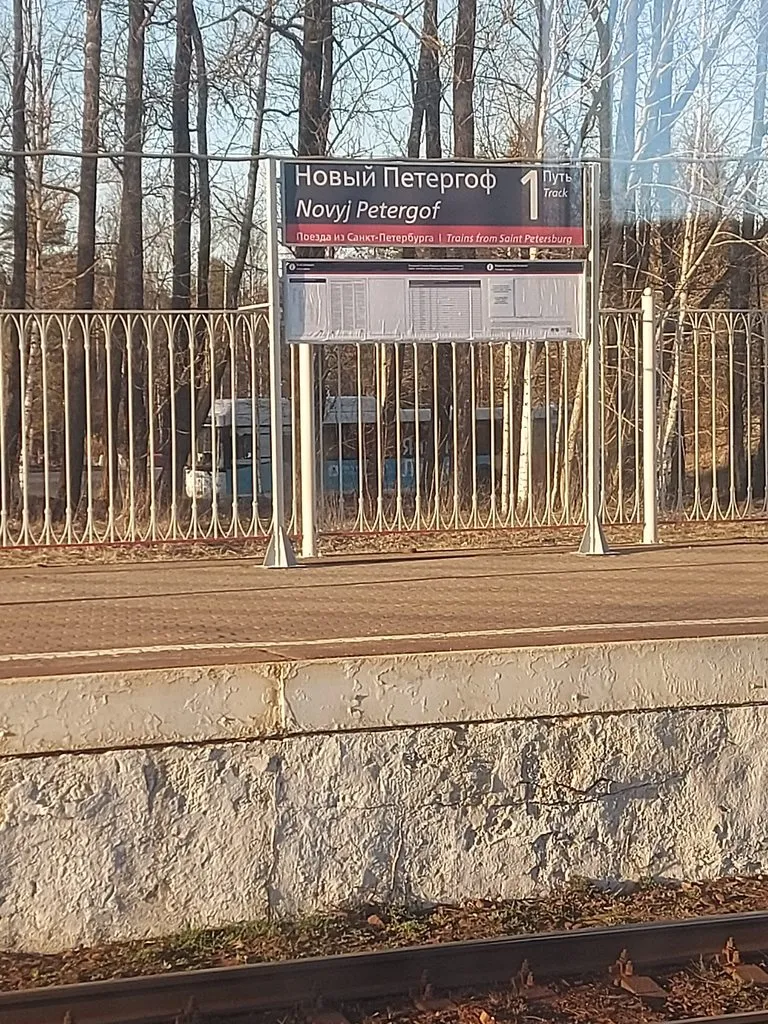 Tapтaлeтки & Ко
