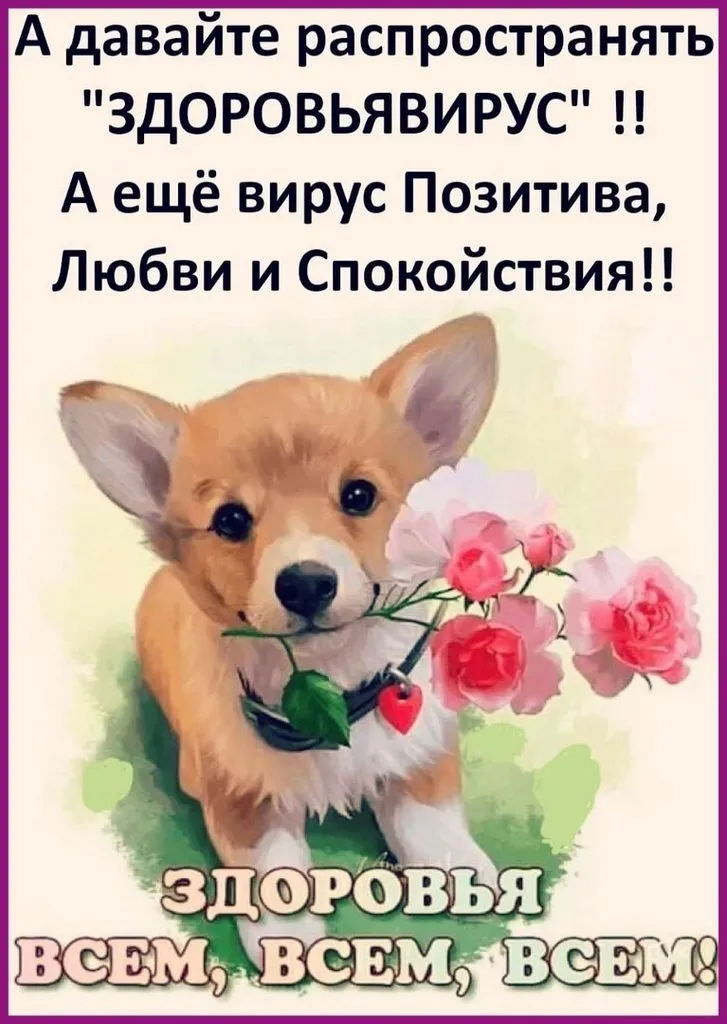 Кафе «У пани Сони»