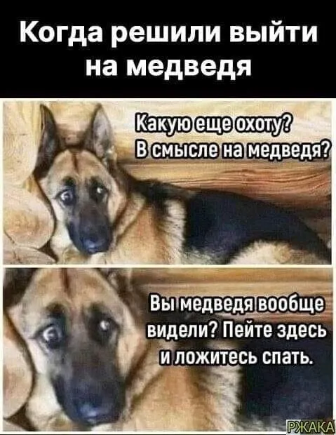 Посмеялся сам - поделись с другом!!!
