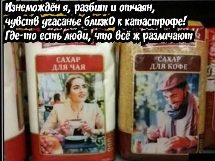 Всюду рифмы