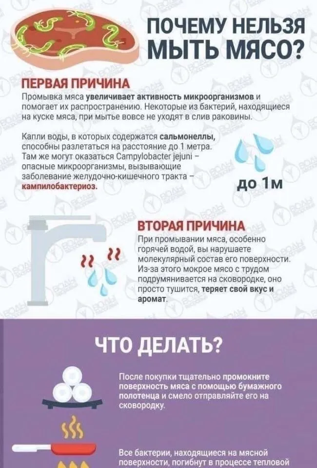 Tapтaлeтки & Ко