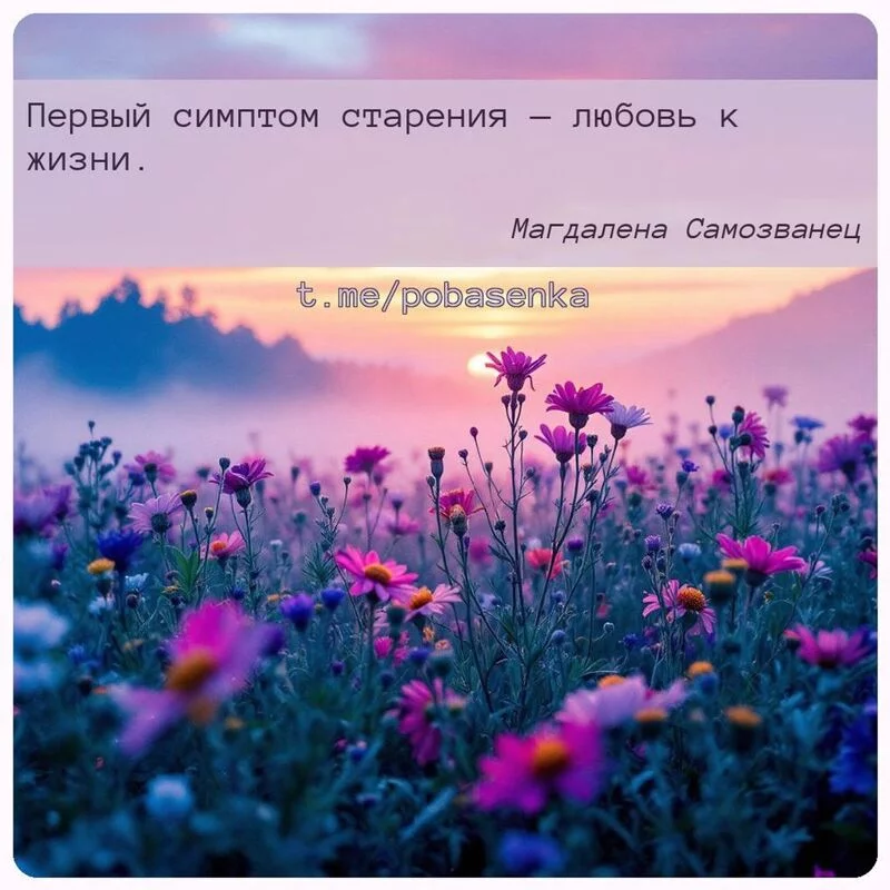 «Первый симптом старения — любовь к...» height="550" width="550"