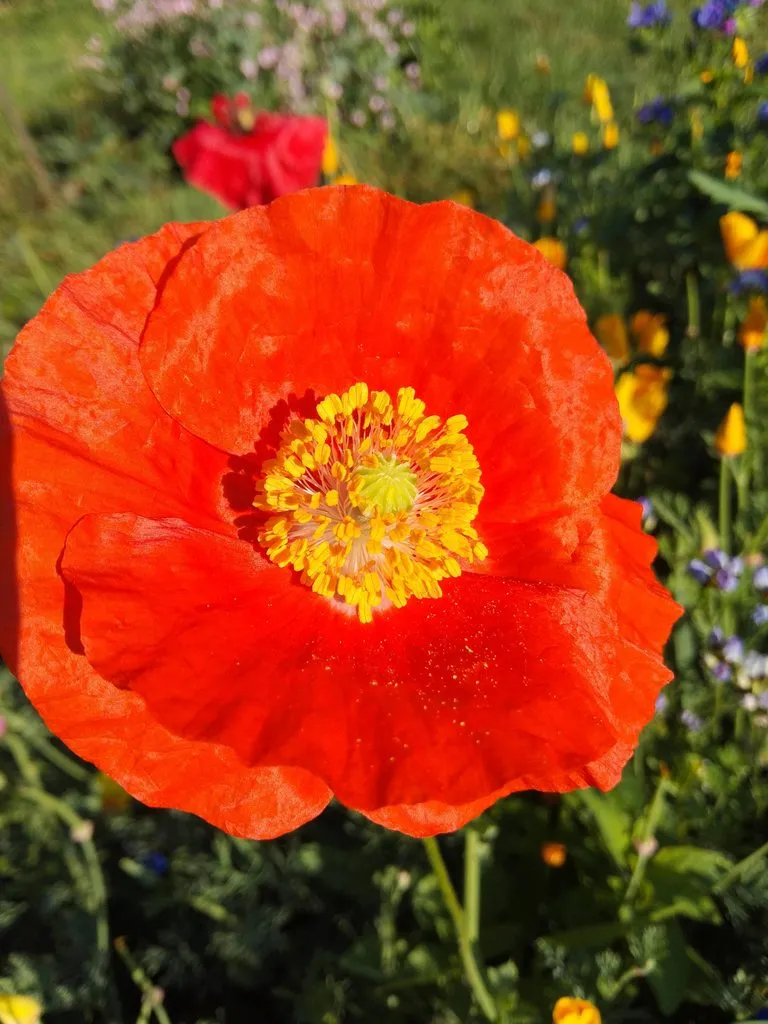 Чайная беседка