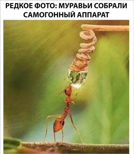 Посмеялся сам - поделись с другом!!!