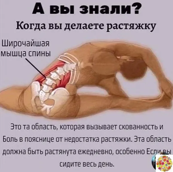 Медицинская инфографика