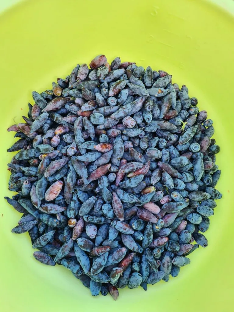 Кафе «У пани Сони»