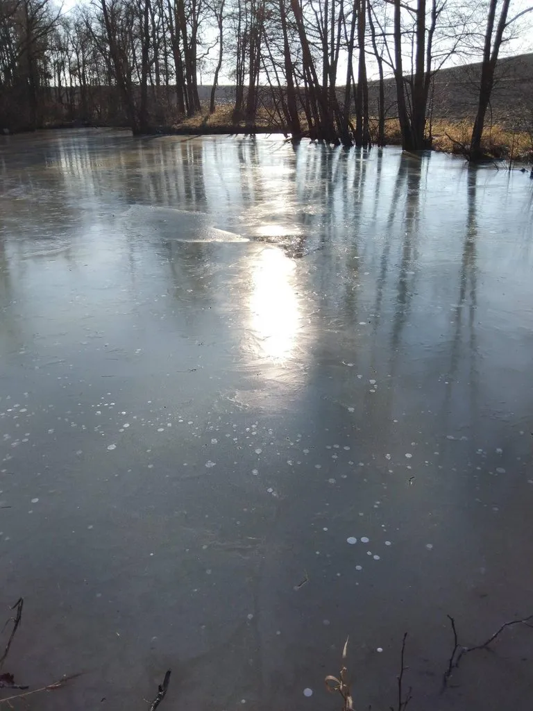 Чайная беседка