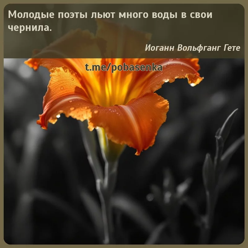 «Молодые поэты льют много воды в свои...» height="550" width="550"