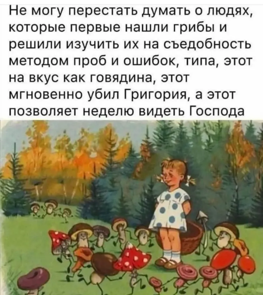 По грибы с лукошком
