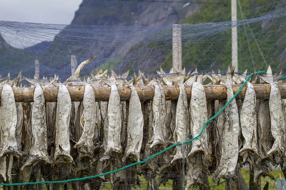 7 продуктов, которых чаще других едят в Скандинавии