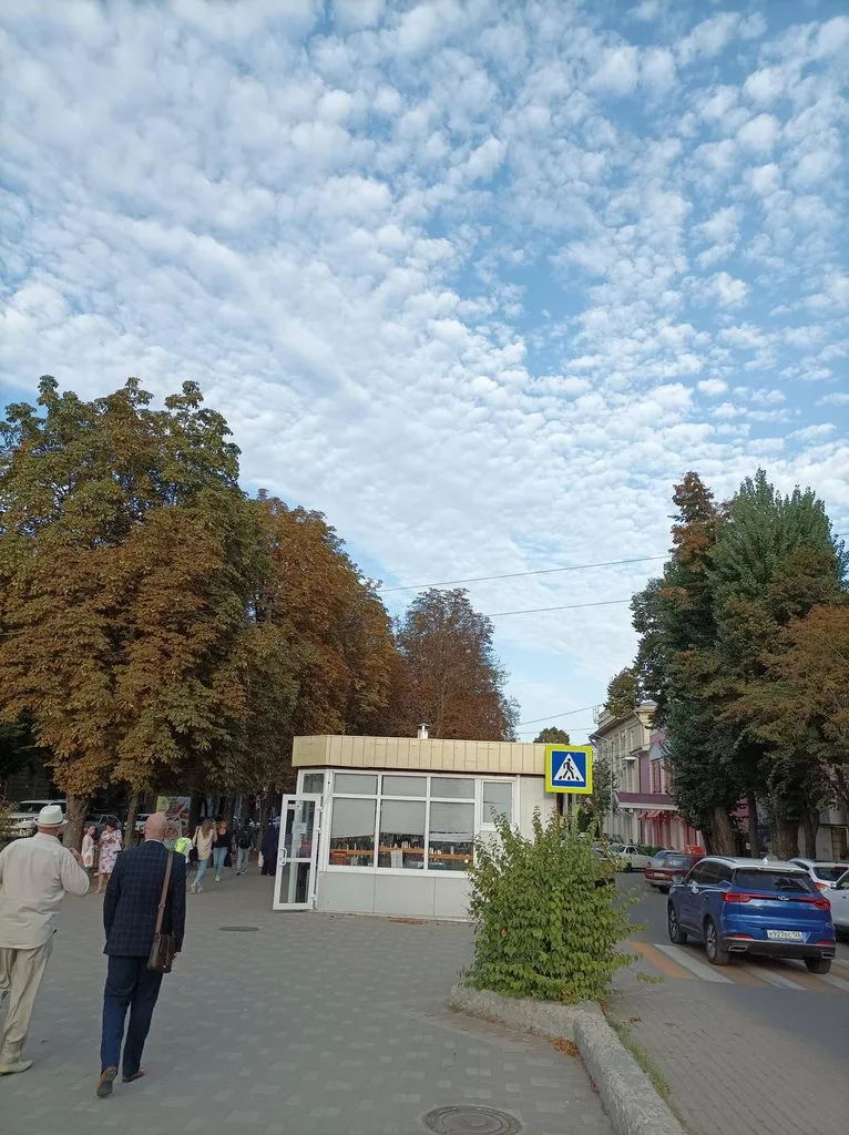 Чайная беседка