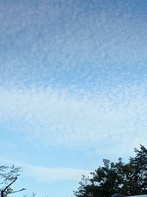 Такое разное небо