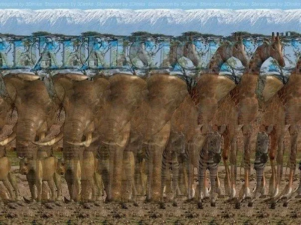Арт галерея
