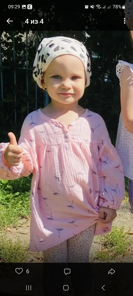 Чайная беседка